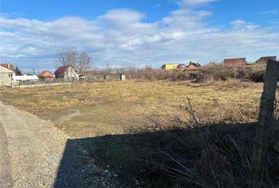 Teren Construcții intravilan de 1000 mp, în Vest - 3