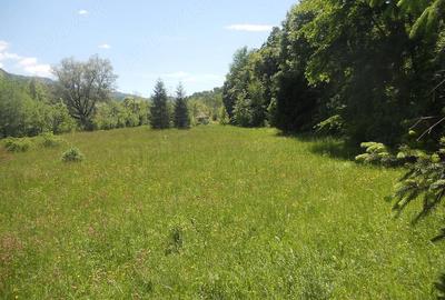 Teren de 10000 mp, în Central - 2