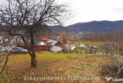 Teren în Vlădesti - 7
