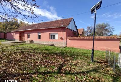 Casă cu 5 camere cu Teren 1800 Mp în Ciuchici - 2