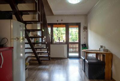 Penthouse Duplex Busteni - 2