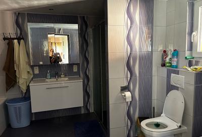 Casă cu 4 camere cu Teren 2900 Mp în Birchiș - 6