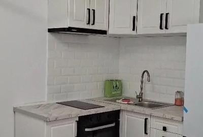 Apartament cu 2 camere decomandat în Dacia - 8