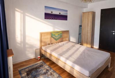 Apartament cu 2 camere semidecomandat în Domenii - 7