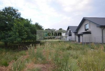 Snagov Ciofliceni - Teren 6153mp, D 25 M, Toate Utilitatile, Asfalt - 8