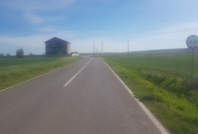 Teren intravilan arabil 55.400 m.p. Vasilati, Jud. Calarasi - 3