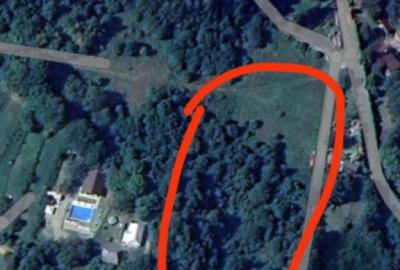 Teren de 8000 mp, în Chiuzbaia - 1
