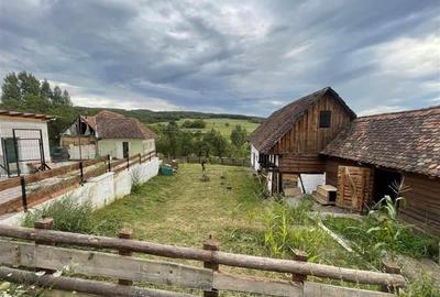 Casa de vanzare si cafenea in stil rustic - 9