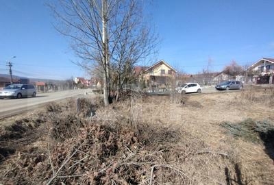 Teren intravilan 500mp(5 ari)la drumul pricipal,Valea Sigmir - 1