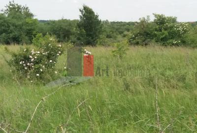 Teren Buftea cu iesire la lac - 21