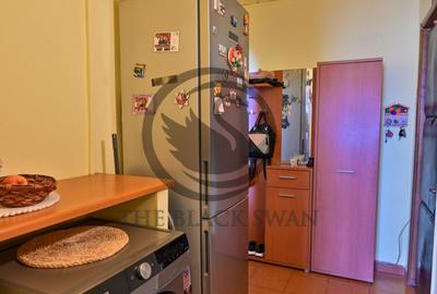 Apartament cu 3 camere semidecomandat, mobilat în Malu Roșu - 11