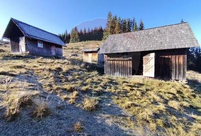 Teren extravilan de 31461 mp, în Panaci - 13