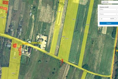 Teren Construcții intravilan de 1250 mp, în Rojiște - 1