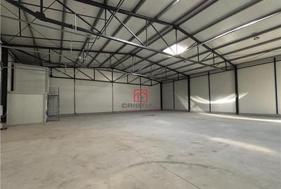 Depozit/hala/spatiu industrial Theodor Pallady - Gara Catel - 7