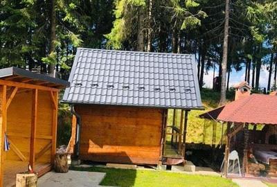 Casa de vacanta, 4 camere, 119 mp utili, 2300 mp de teren, Marisel - 1