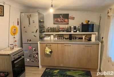 De vanzare casa + TEREN, zona Antiaeriana sector 5 - 4