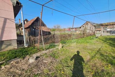 Casă cu 2 camere cu Teren 15000 Mp în Central - 8