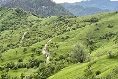 Teren de 5000 mp, în Brăești - 6
