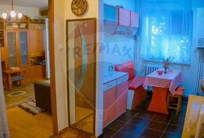 Apartament cu 2 camere de inchiriat in Deva - 10