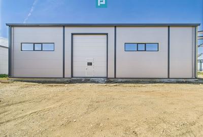 Hală industrială în zona Giarmata – Timiș - 5