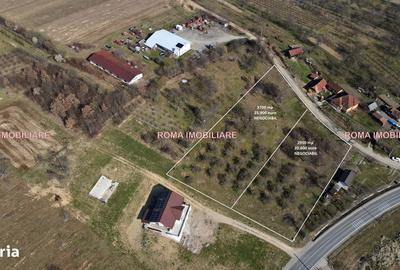 Teren de 6650 mp, în Remetea Chioarului - 3