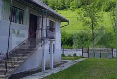 Casa individuala cu 3 camere, 217 mp utili,1600 mp teren,Intregalde - 9