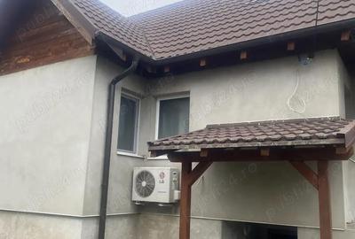 Casă cu 4 camere cu Teren 9000 Mp în Cornești - 10
