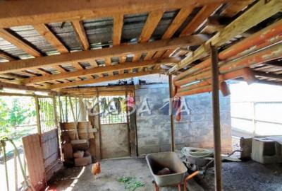 Casă cu 4 camere cu Teren 4037 Mp în Samarinești - 7