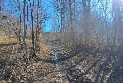 Spațiu comercial, în Podul Lung - 9