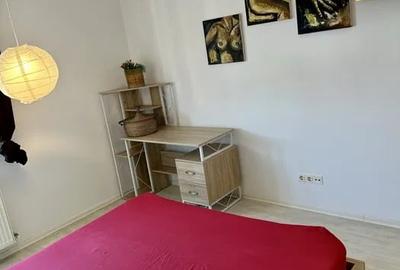 Apartament cu 2 camere decomandat, mobilat în Drumul Taberei - 2