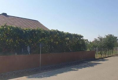 Casă cu 3 camere cu Teren 1600 Mp în Ionești - 2