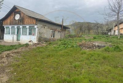 Teren intravilan 2.200 mp cu constructie existenta –Calinesti- Vranesti-Arges! - 5