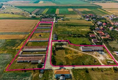 Fermă Mândruloc 2,5 ha - 12