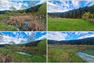 Teren de 21000 mp, în Slatina - 10