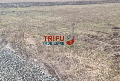 Teren de 1440 mp, în Ighiu - 2