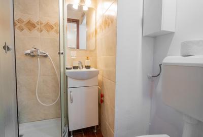 Calea victoriei  apartament 2 camere mobilat si utilat - 23