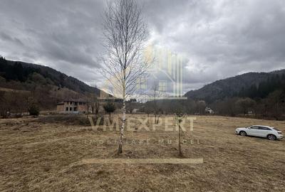 TEREN INTRAVILAN 500 MP SATIC- RUCAR - 7