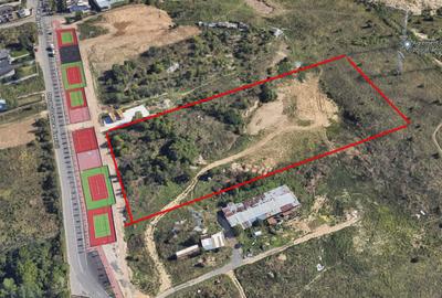 Teren de 15000 mp, în Sud - 2