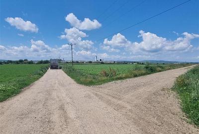 Teren agricol extravilan de 27500 mp, în Șerbești - 1
