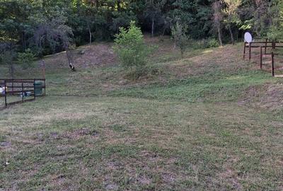 Spațiu comercial, în Slănic - 4