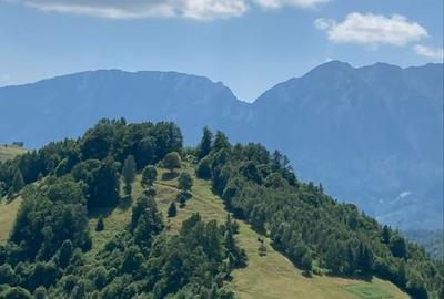 Teren de 15800 mp, în Poiana Mărului