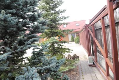 Constructii si teren  intravilan18.000 mp - 9