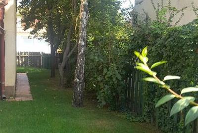 Duplex cu 4 camere cu Teren 375 Mp în Pipera - 3