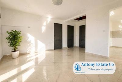 Casă cu Teren 2877 Mp în Tileagd - 4