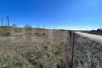 Teren Construcții intravilan de 1240 mp, în Exterior Est - 5