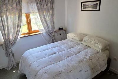 Casă cu 3 camere cu Teren 4400 Mp în Valea Vinului - 8