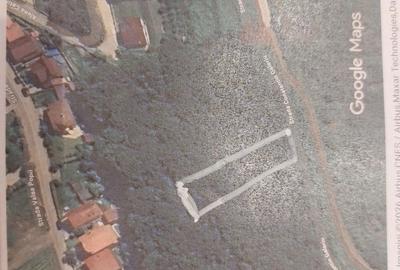 Spațiu comercial, în Central - 2