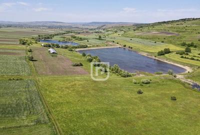 Lacurile Costanei | Todiresti | Suceava - 3