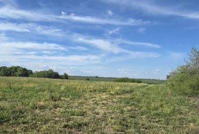 Teren de 500 mp, în Păulești - 7