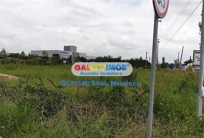 Mogosoaia 2.381 Mp FRF DN1A - 8